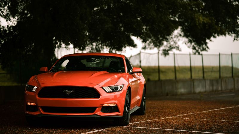 ford mustang, ford, car, sportscar, red, front view, 4k