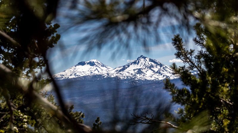 mountains, peaks, branches, view, landscape, 4k