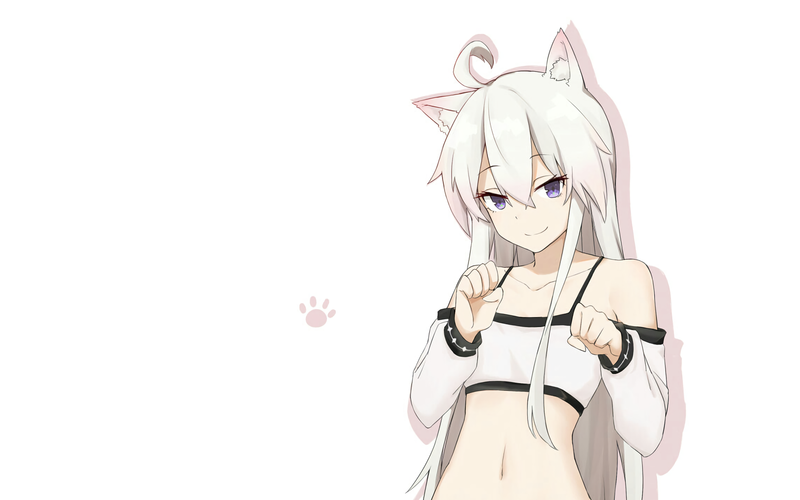 anime, anime girls, Zero kara Hajimeru Mahou no Sho, Zero (Zero kara Hajimeru Mahou no Sho), long hair, white hair, nekomimi, white background, smiling, purple eyes