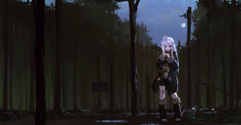 anime, anime girls, Zero kara Hajimeru Mahou no Sho, Zero (Zero kara Hajimeru Mahou no Sho), long hair, white hair, artwork, sky, clouds, Moon, purple eyes