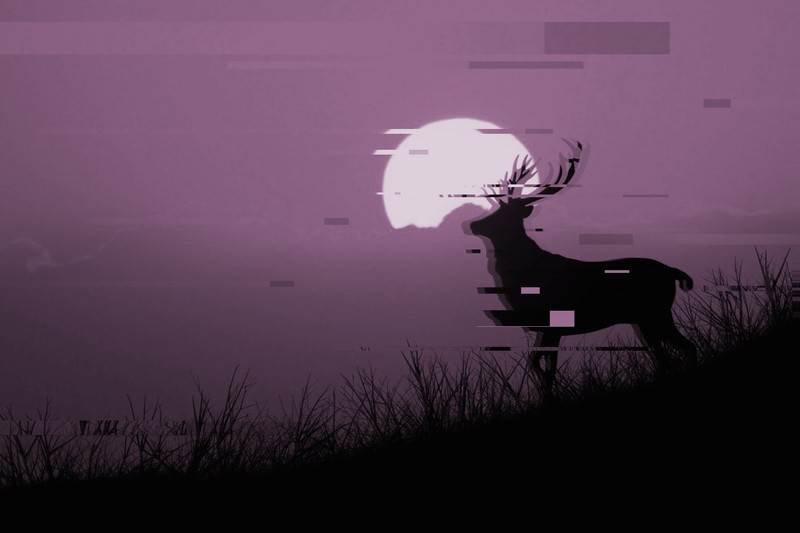 animals, Moon, sky, glitch art, deer, horns, grass