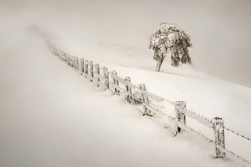 winter, snow, nature, landscape, fence, trees, mist, hill, white