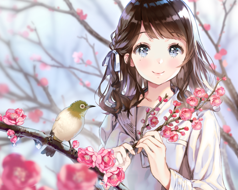 anime, anime girls, original characters, smiling, brunette, long hair, birds, artwork