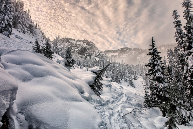 winter, snow, nature, mountains, trees, landscape