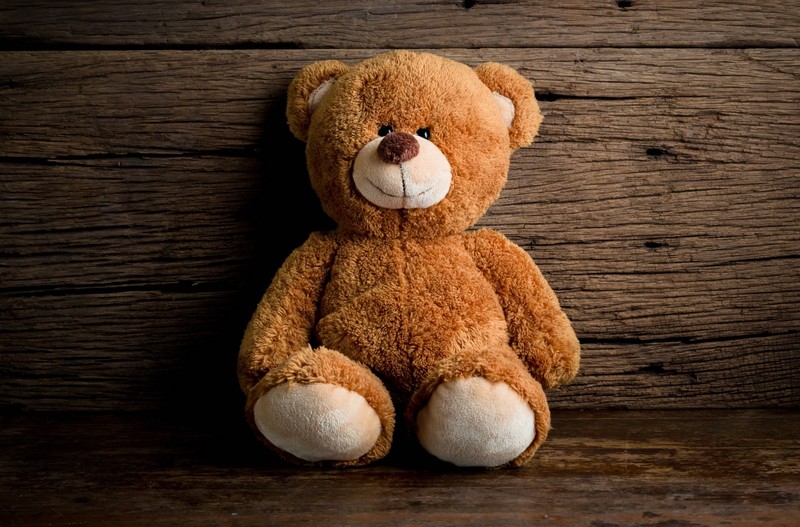 toys, sitting, portrait, teddy bears, model, on the floor
