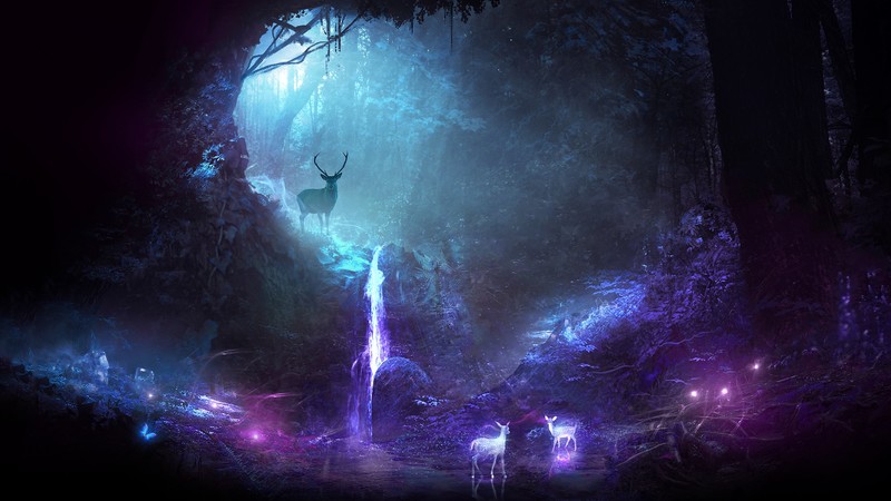deer, animals, night, waterfall