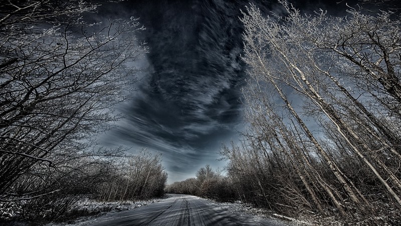 trees, sky, dark, winter, road