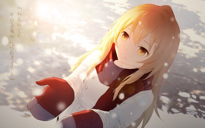 Toradora!, anime girls, Aisaka Taiga