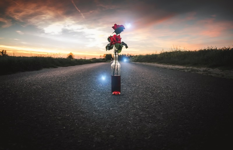 bottles, sky, sunlight, dark, asphalt, flowers, road