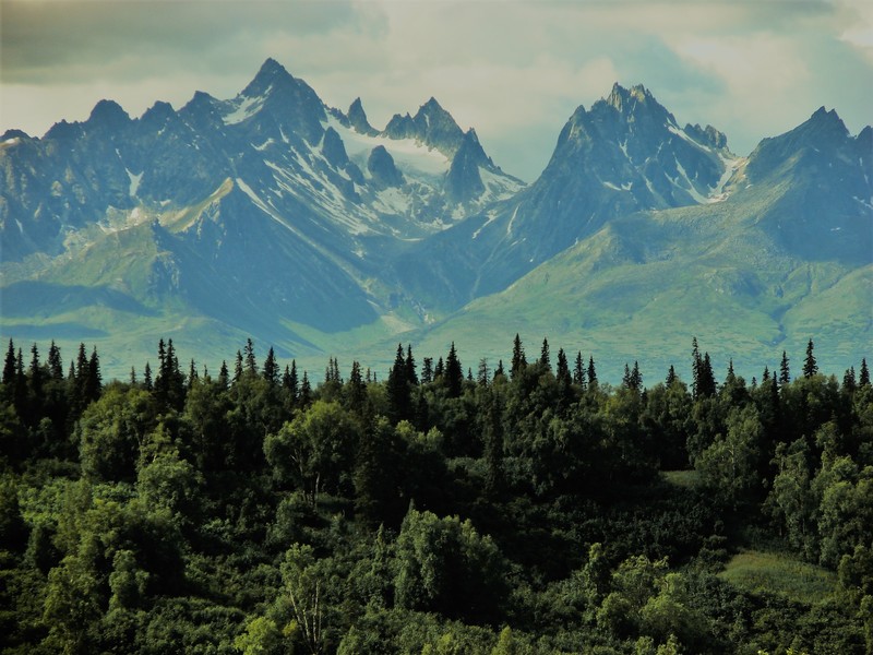 mountains, landscape, wood