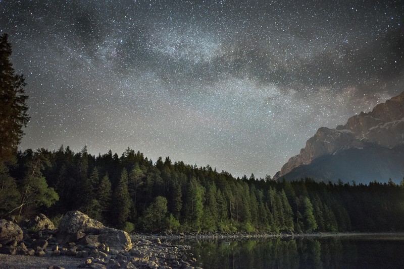 forest, starry night, trees, lake, mountains, landscape, nature, Germany, Lake Eibsee
