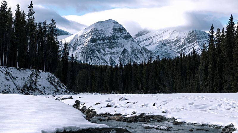 mountain, peak, river, forest, snow, snowy, 4k