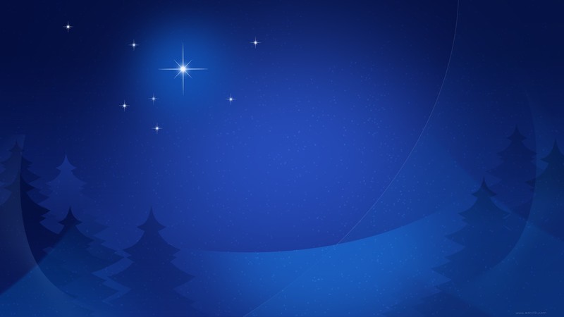 trees, Christmas, stars, night