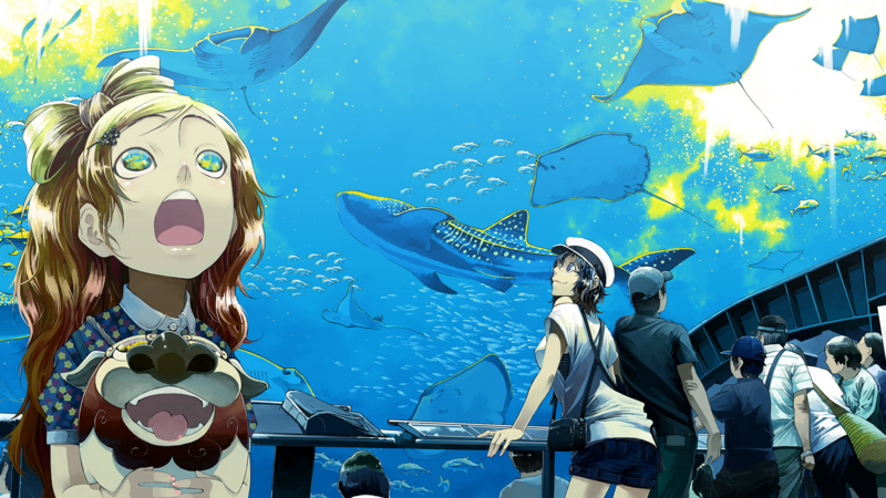 aquarium, shark, manta rays, colorful, water, fish