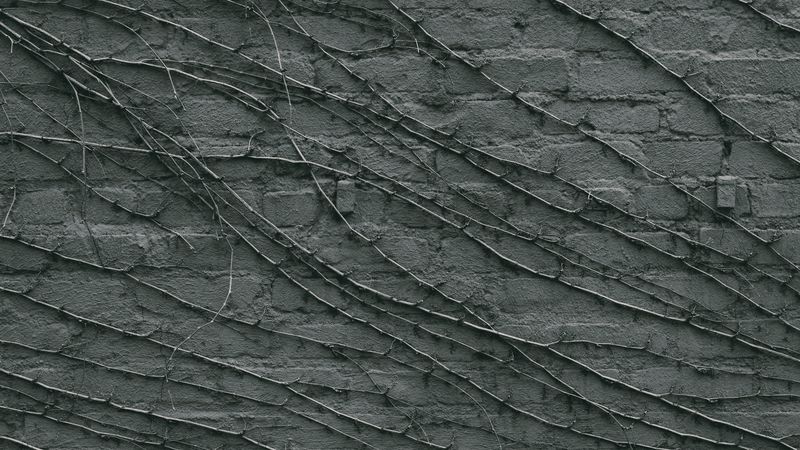 wall, branches, gray, surface, 4k
