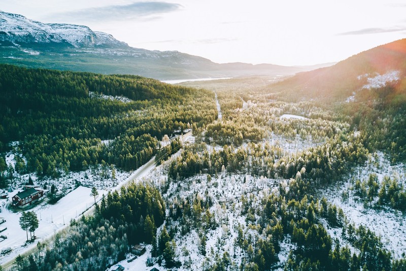 landscape, mountains, forest, snow, photography, winter, sunlight