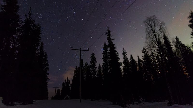 poles, wires, starry sky, trees, night, 4k