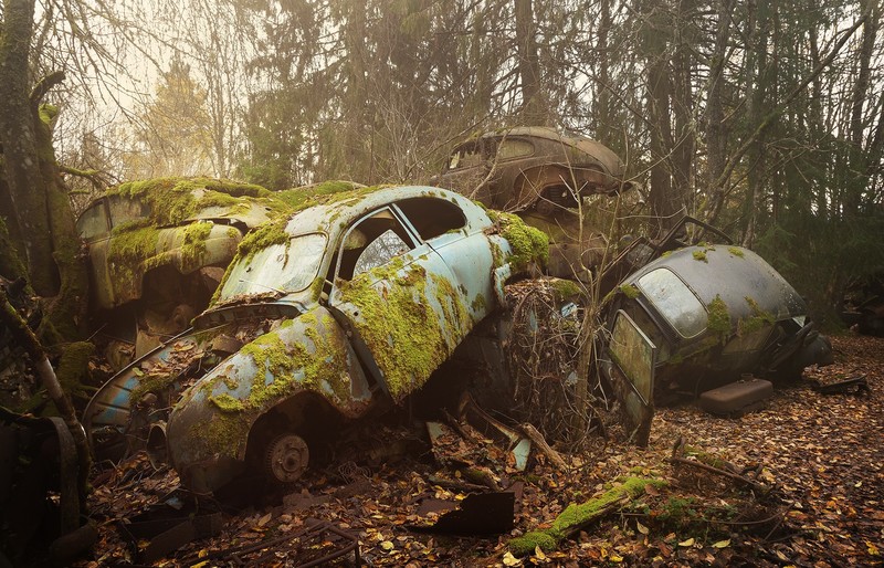 car, vehicle, wreck, moss, rust