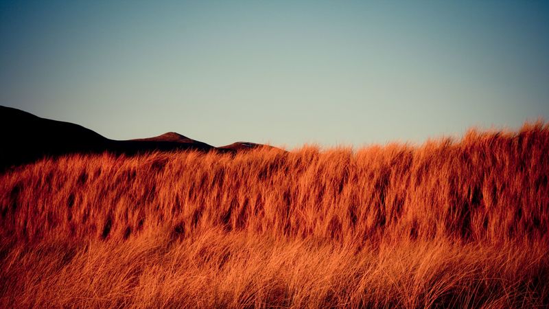 grass, dry, hills, landscape, nature, 4k