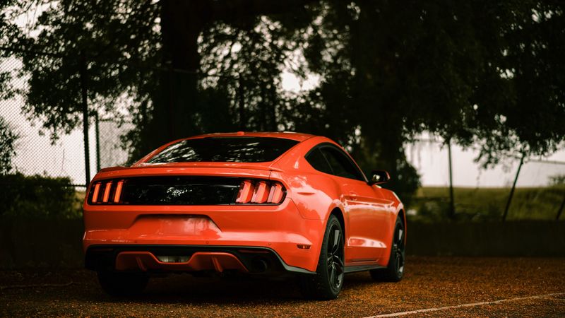 ford mustang, ford, car, sportscar, red, rear view, 4k
