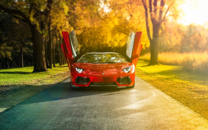 car, Lamborghini, red cars, vehicle, trees, road