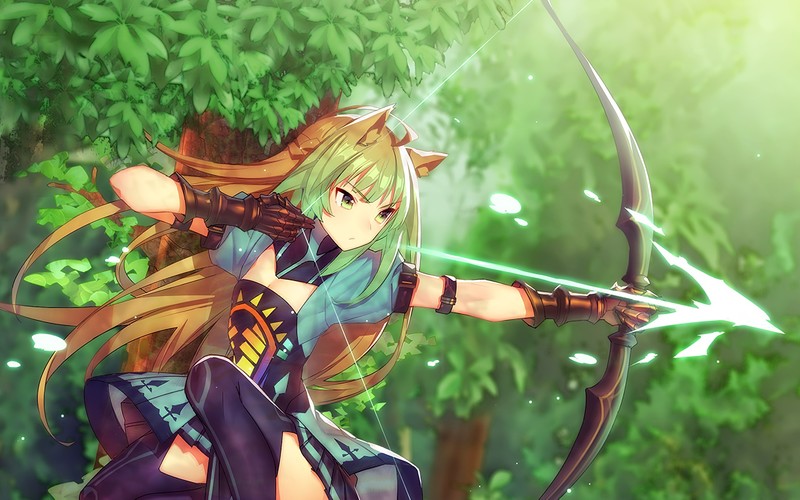 Fate Series, anime girls, Fate/Apocrypha, Archer of Red