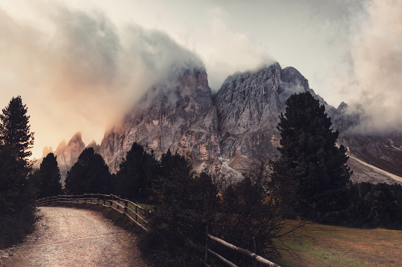 nature, mountains, trees, road