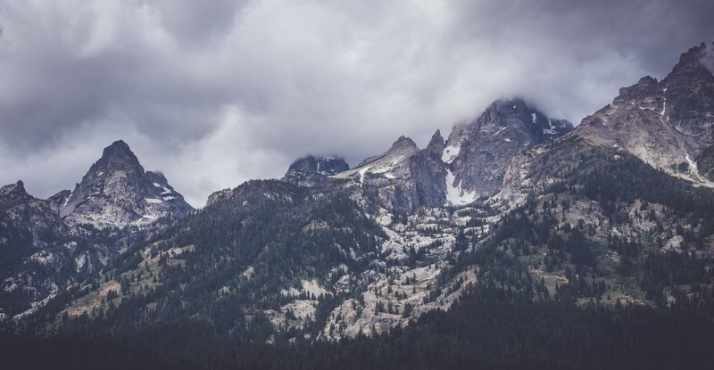 nature, trees, snow, mountains
