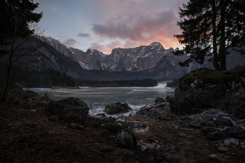 nature, trees, water, snow, mountains