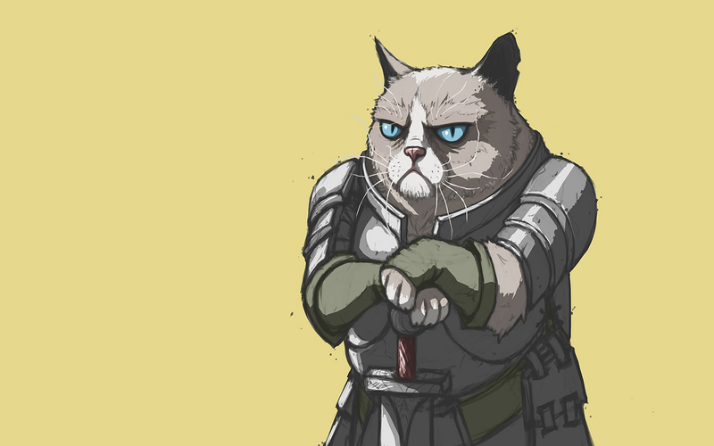 cats, warrior, simple background, blue eyes