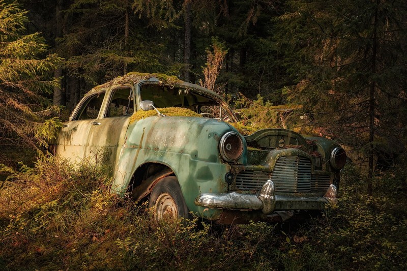old, car, vehicle, wreck, moss