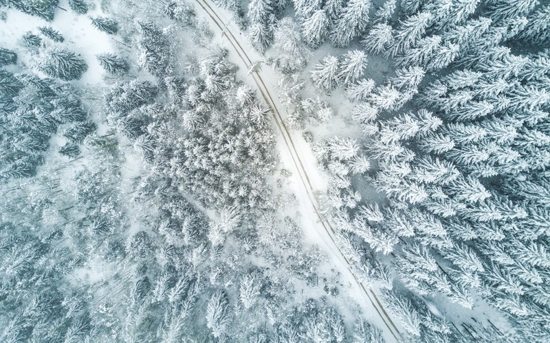 aerial view, road, winter, trees, snow