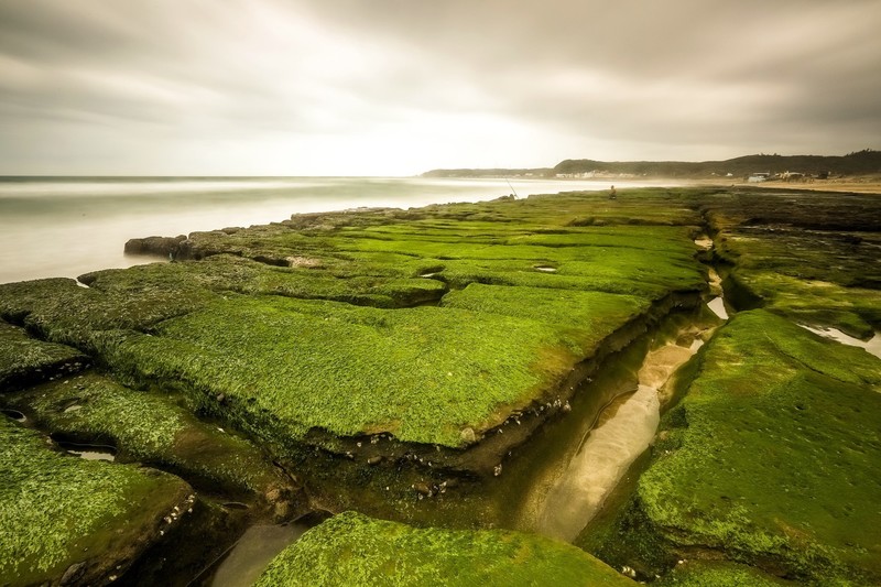 landscape, sea, green, nature