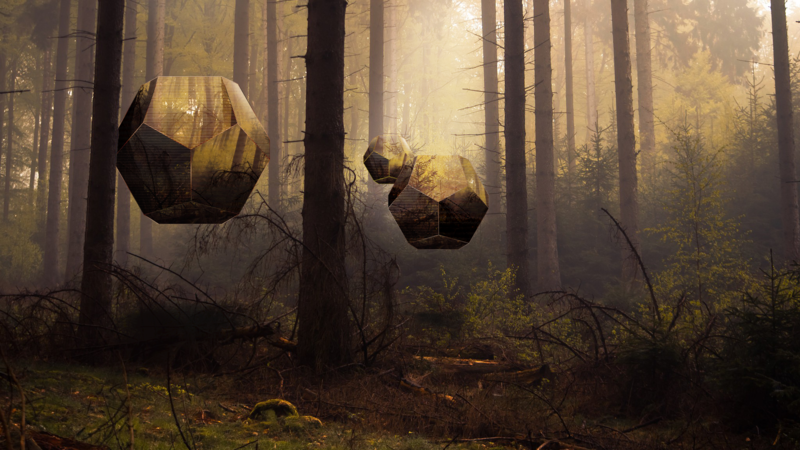 forest, mist, photo manipulation, geometric figures
