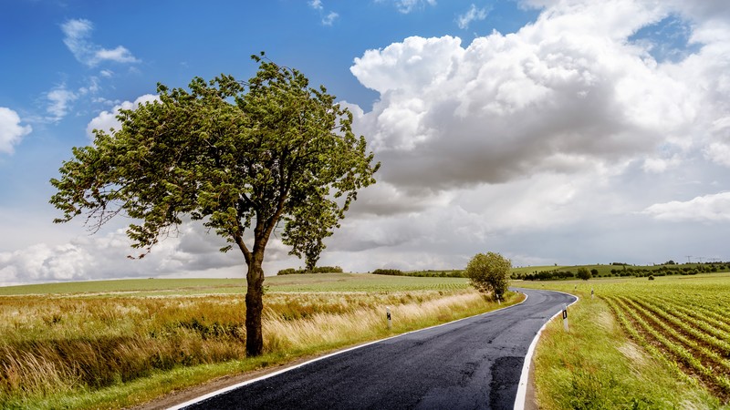 trees, road, landscape, clouds, field, nature, windy, asphalt