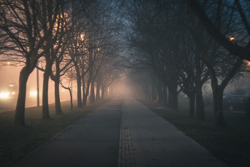 evening, mist, landscape, nature, lights, night, park, road, trees, street