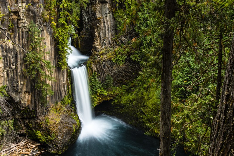 nature, waterfall, long exposure, forest, trees, Oregon, USA