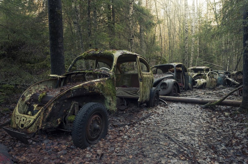 car, vehicle, old, wreck, Volkswagen Beetle