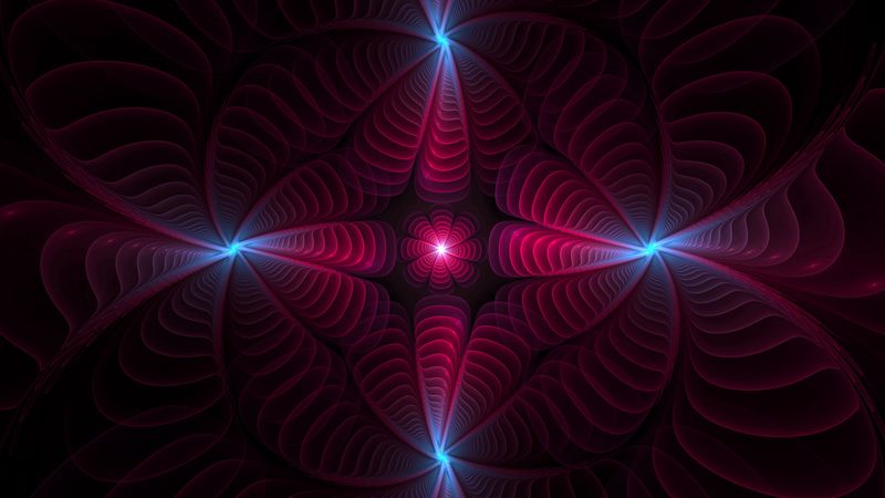 fractal, glow, petals, abstraction, digital, 4k