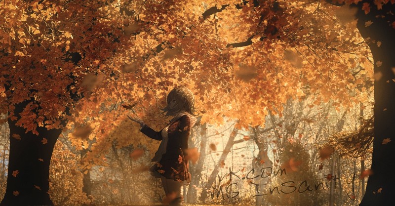 anime girls, fall, anime, trees, outdoors