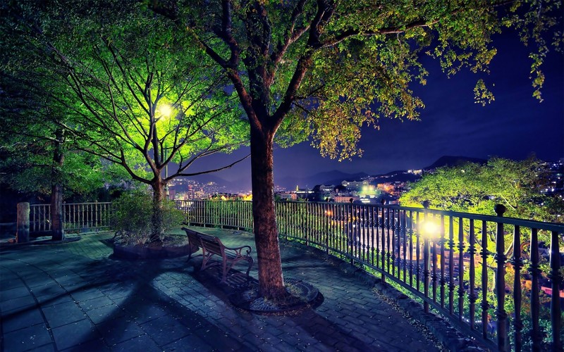 night view, trees, bench