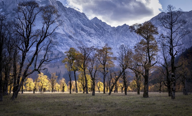 mountains, landscape, trees, nature, fall