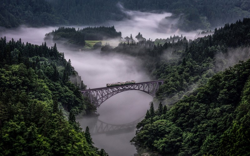 nature, landscape, train, bridge, forest, mist, reflection, river