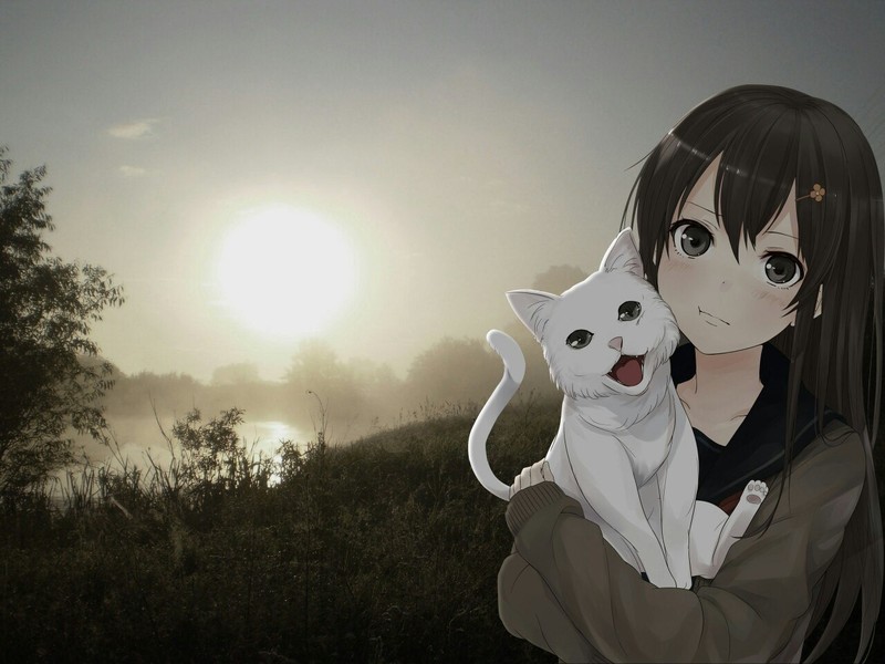 anime, cats, sky