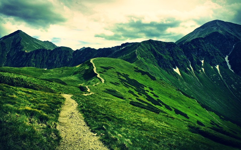 mountains, landscape, grass