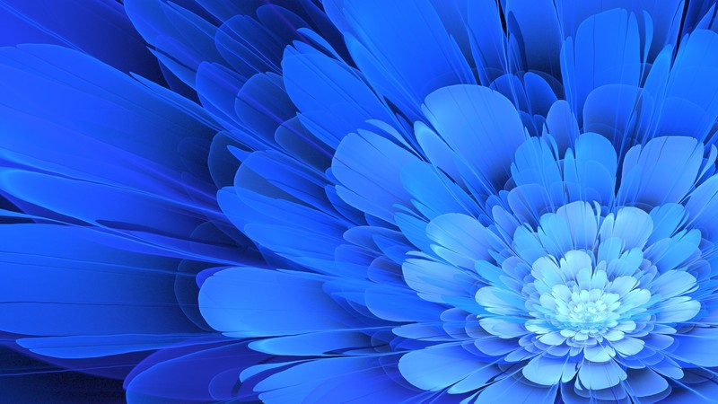 flowers, Apophysis, blue flowers, blue