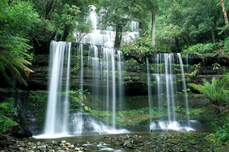nature, landscape, trees, forest, stones, water, waterfall, plants, long exposure, Tasmania, Australia, overgrown