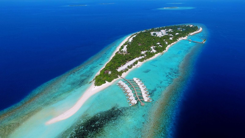 nature, landscape, trees, forest, island, tropical, sea, beach, aerial view, palm trees, pier, Maldives, atolls, vacation