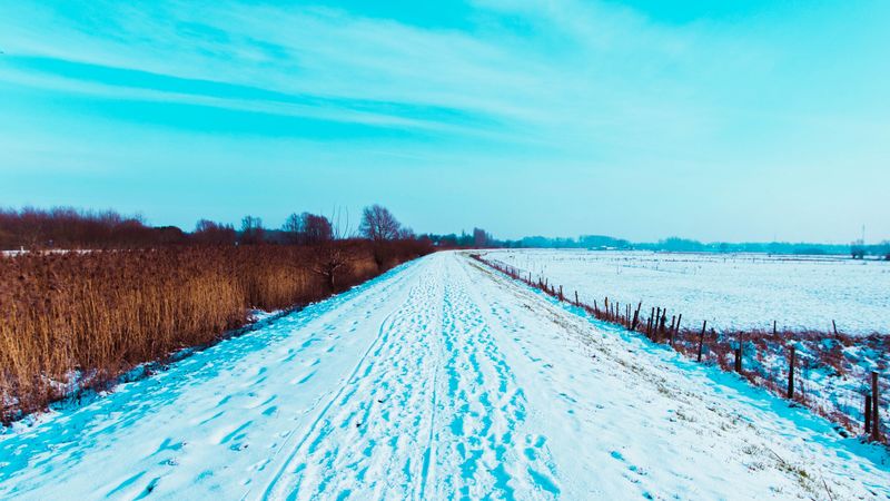 road, snow, traces, field, winter, landscape, 4k