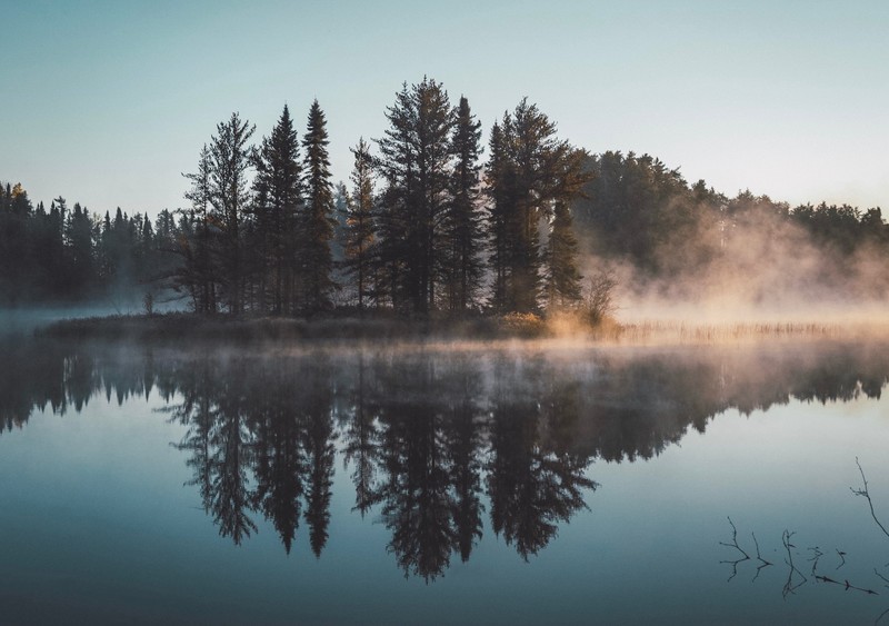 forest, lake, reflection, nature, trees, water, mist